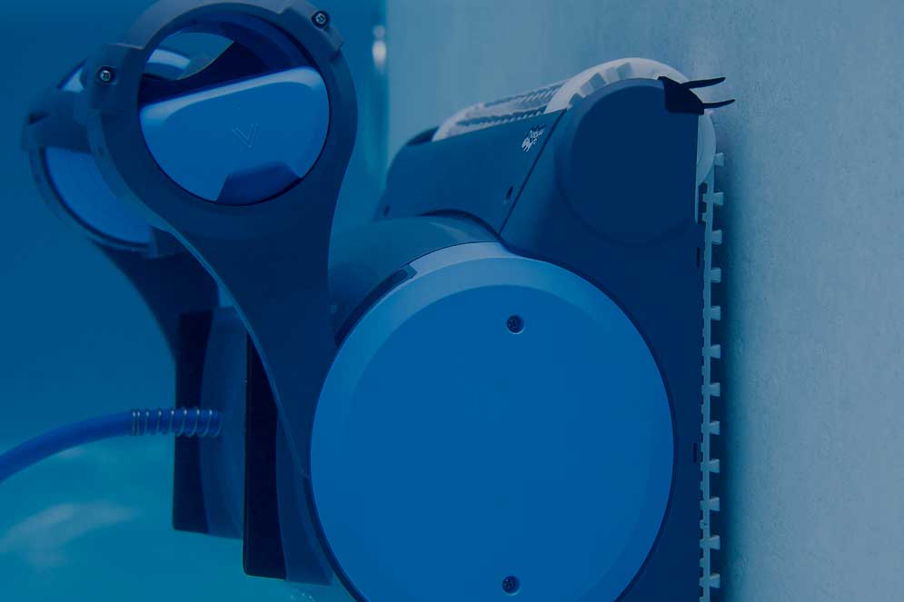 Avoid Grey Market Dolphin Sellers