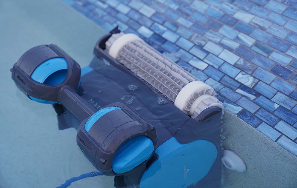 Dolphin Premier Waterline Cleaning