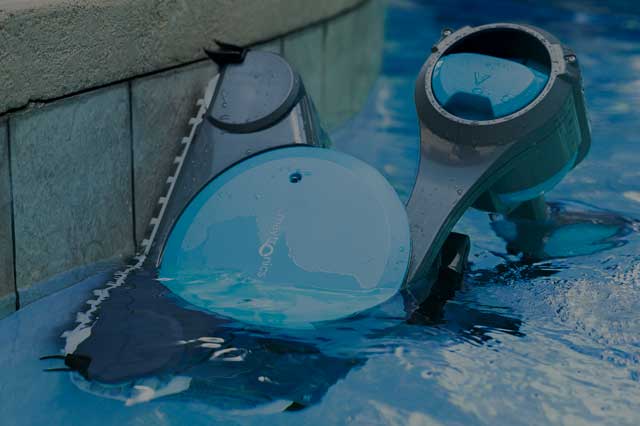 Dolphin Premier Waterline